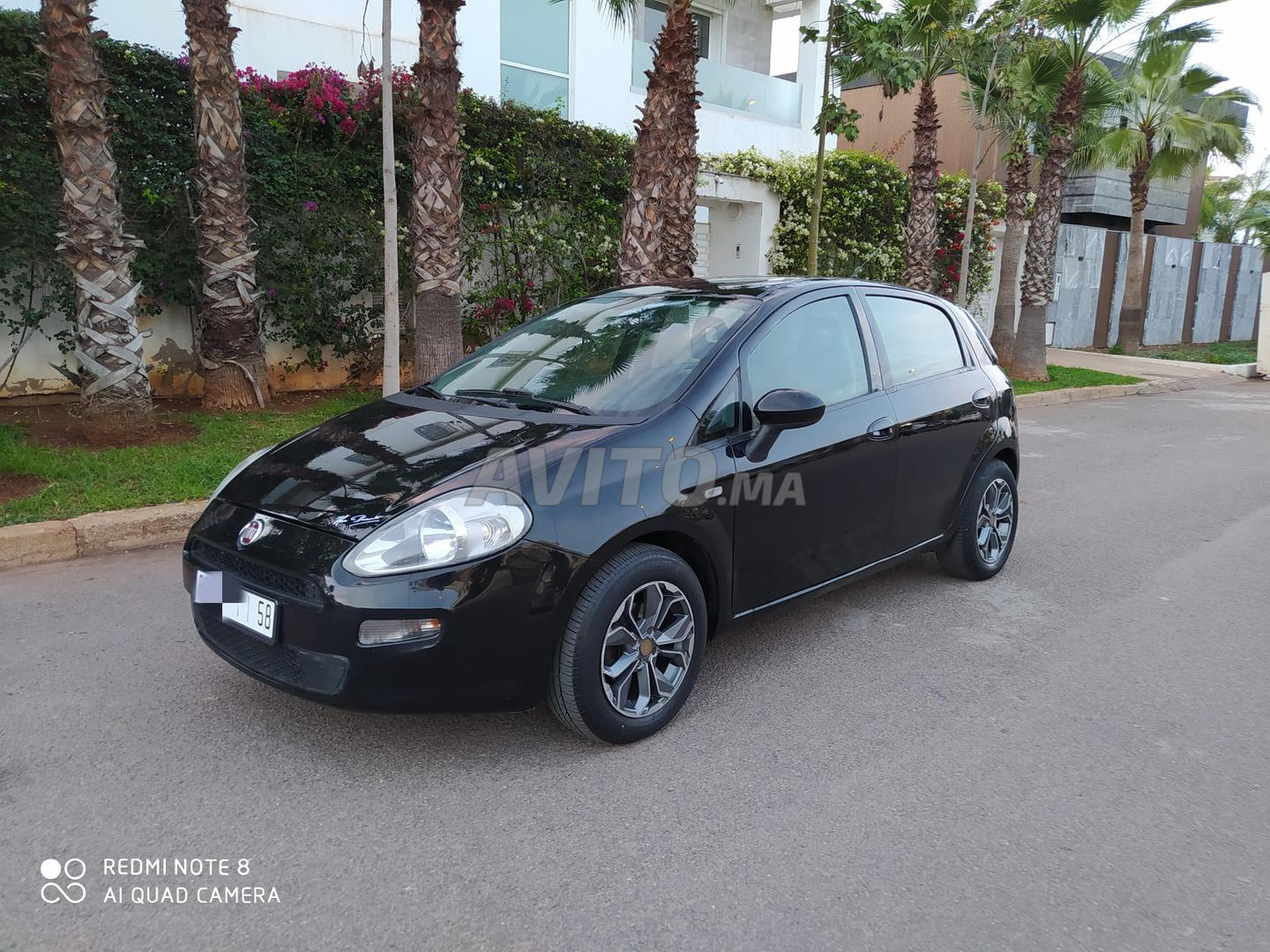 Annonce Fiat Punto d'occasion : Année 2017, 43280 km