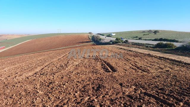 تر تتر 1 هكتار الخميسات. طريق وطني