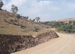 TERRAIN MARRAKECH EN VENTE 2 HECTARE - MILKYA -