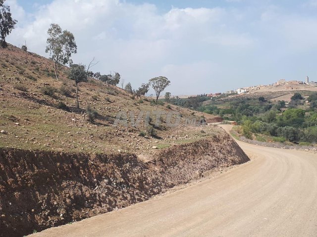 TERRAIN MARRAKECH EN VENTE 2 HECTARE - MILKYA -