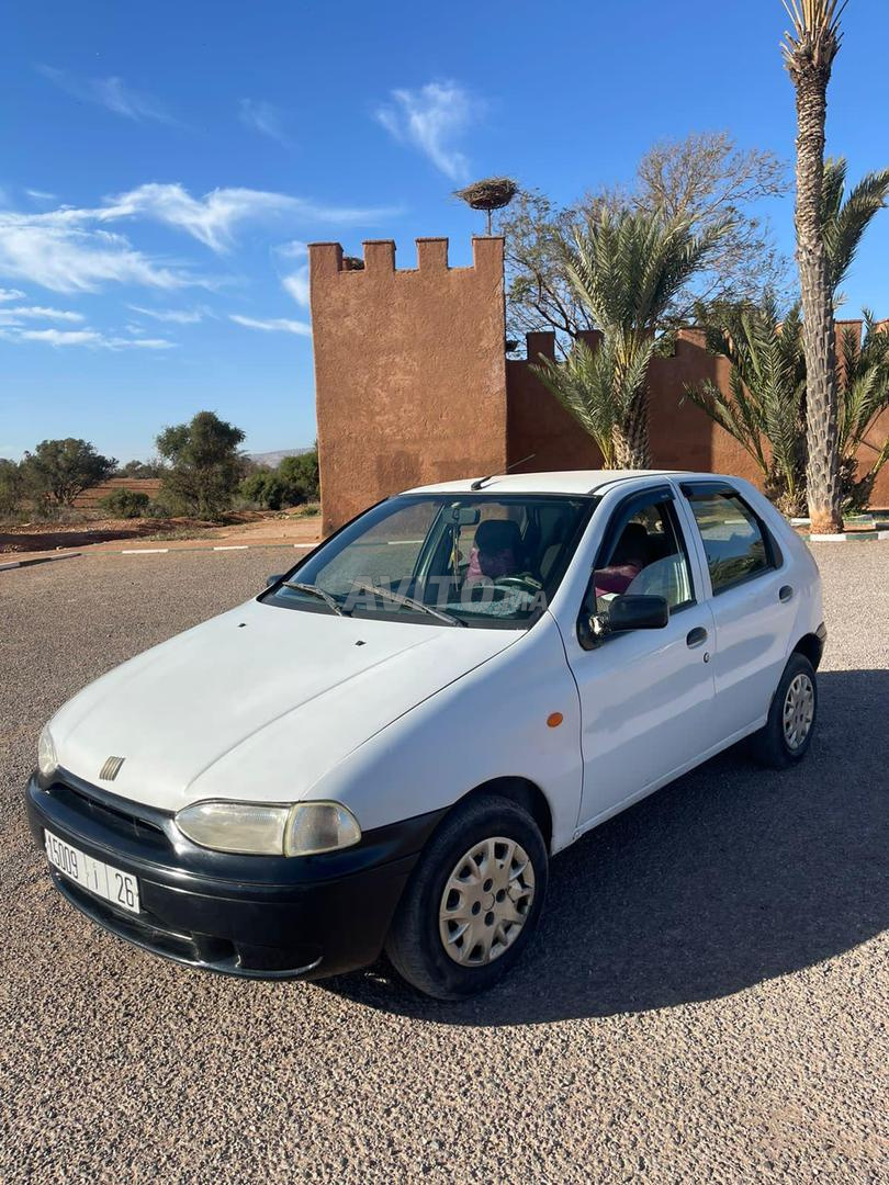 FIAT Palio 2000 diesel 402341 occasion à Mohammedia Maroc