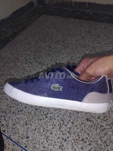 Lacoste spadri online