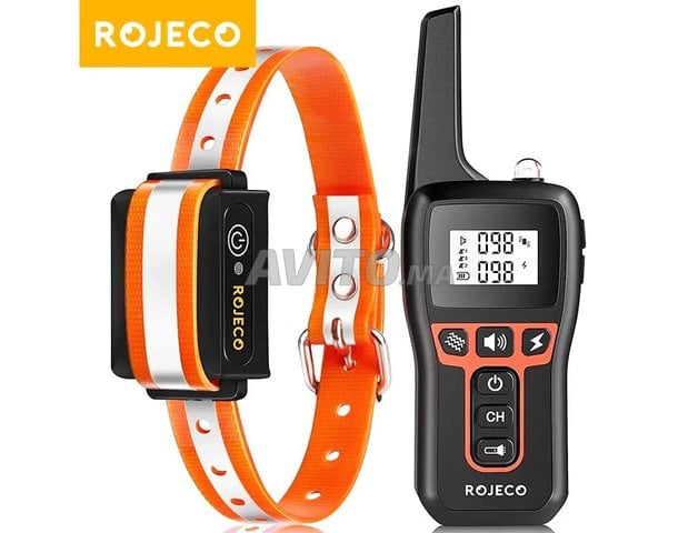 Collier de Dressage pour Chien avec Télécommande