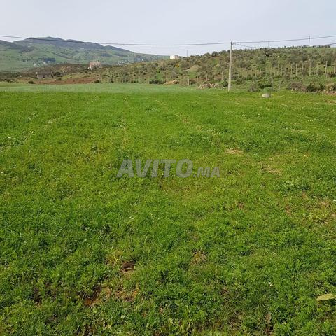 Terrain titré à vendre