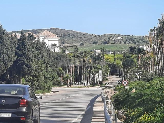 أرض موثقة 5000 متر مربع للبيع في منار