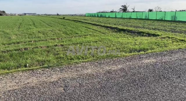 ارض ممتازة 4000متر على الشارع نواحي بحراوي