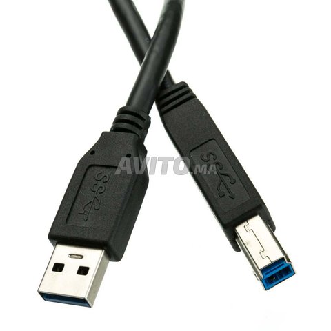 Câble imprimante Type A mâle vers Type B mâle