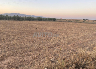 2 hectares 8 km à oujda