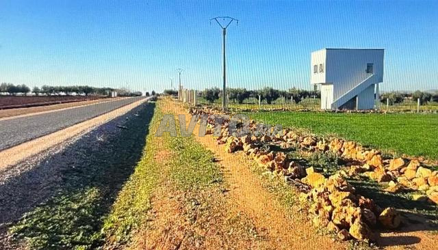 terrain agricole a vendre - haj kaddour