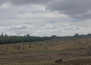 terrain à vendre de 8H