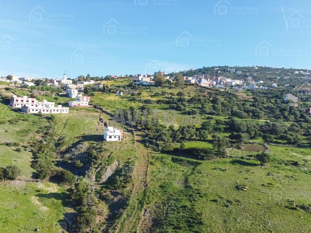 Terrain de 1,5 hectare à vendre à Sania Tanger