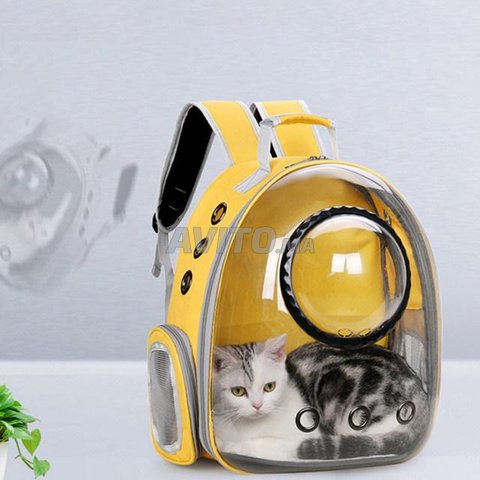 Cartable pour chat hotsell