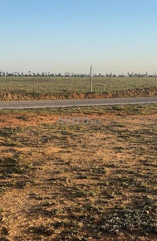 ثلاثة هكتارات وثلاثة خدامة محفضة على الشارع - 2