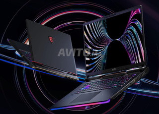 MSI RAIDER GE78HX 13VI-208DC Gaming Laptop