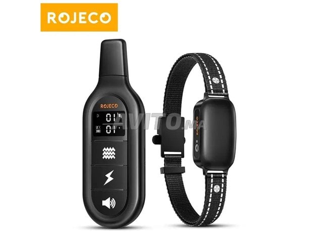 Collier de dressage électrique avec Télécommande 