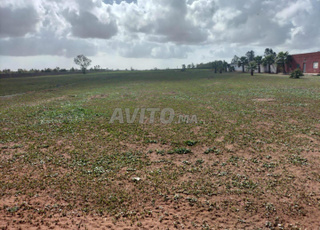 Magnifique ferme titrée de 8.5 hectares 