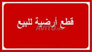  قطع أرضية للبيع رجا فالله terrain à vendre 