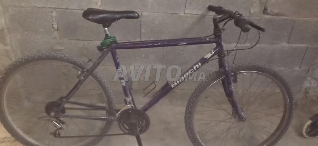 Avito 2025 velo sale