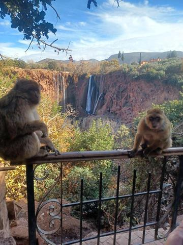 Appartement familial à louer aux cascades d'Ouzoud