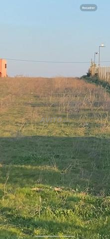 أرض 6500متر محفضة وسط شارع 13كم من بحراوي 