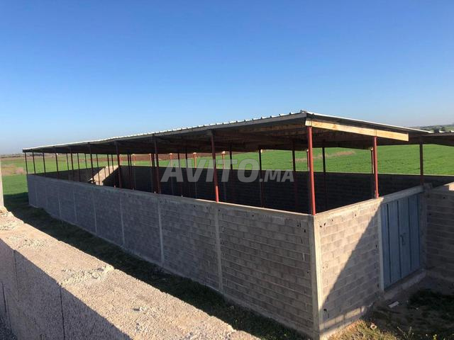 villa et hangar en Vente à Béni Mellal - 2