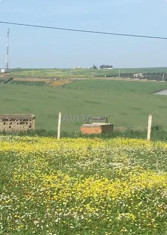 هكتار وستة خدامة بئر منزل صغير مسيجة - 2