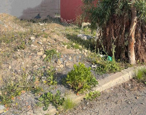 Terrain a vendre 99m² bien ensoleillé R2 à COSTA