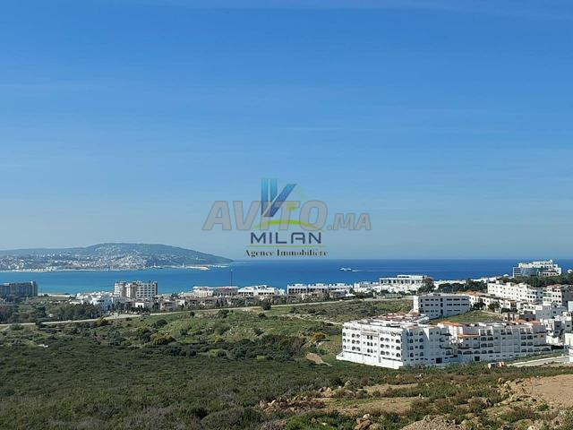 Terrain titre Zone Villas de 11000 m2 à Malabata