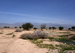 أراضي للبيع في أولاد تايمة والنواحي