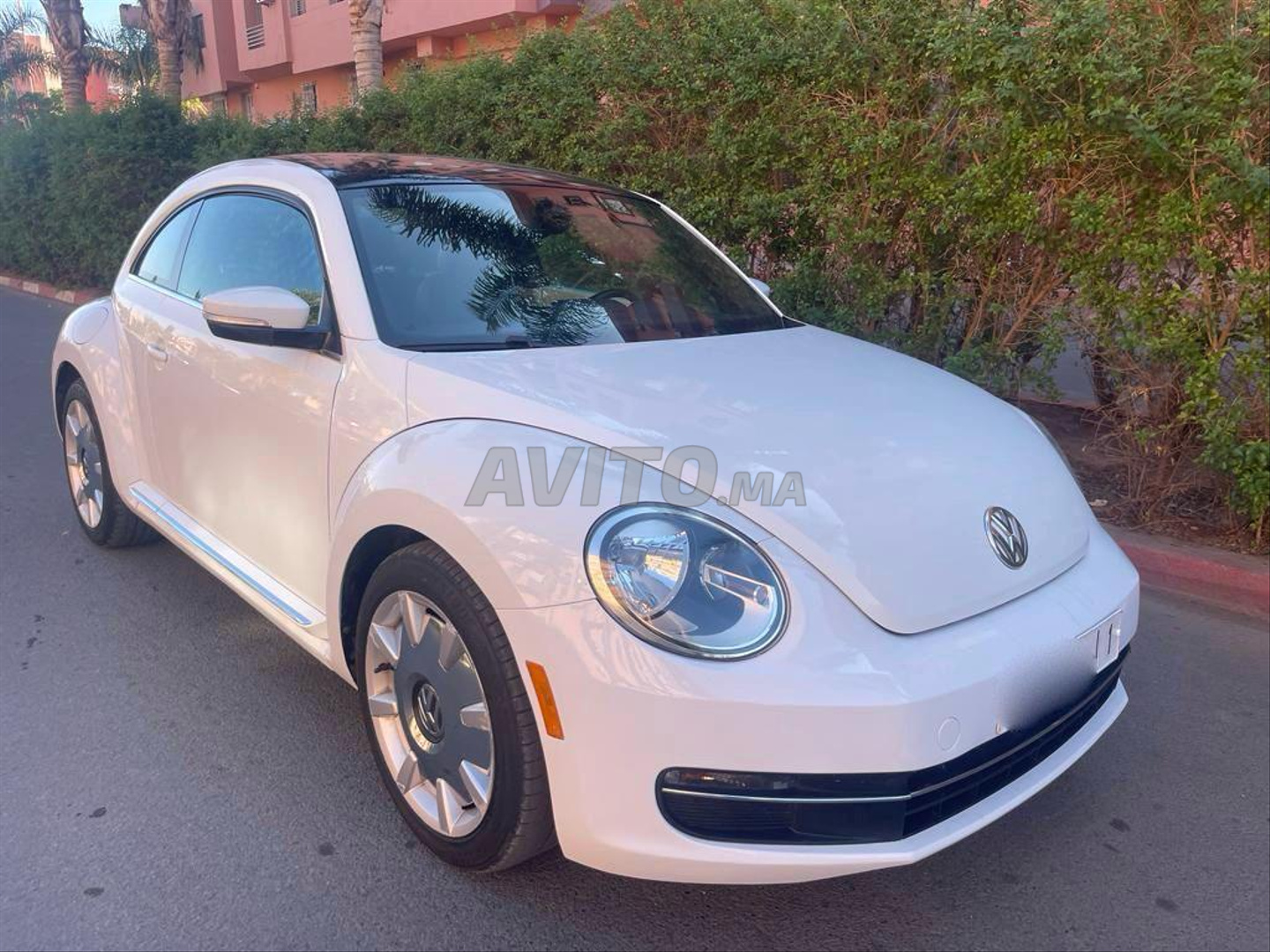 Volkswagen Coccinelle Diesel Casablanca pas cher vendre Avito