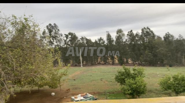 هكتاران مخفضة منزل بئر 17كم من البحراوي 