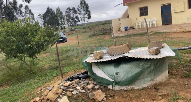 هكتاران منزل بئر 17كم من البحراوي  - 2