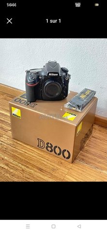 nikon d800