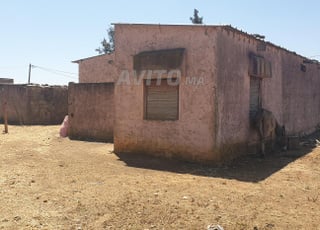 Terrain agricole à vendre