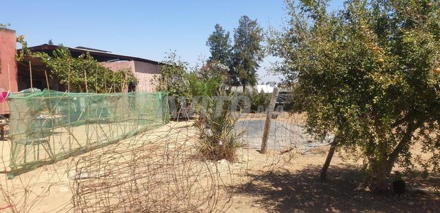 Terrain agricole à vendre