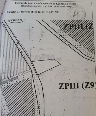 Ferme terrain de 31000 sur route principale  - 2
