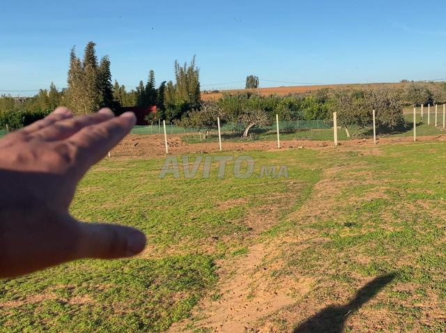 هكتار ونصف 4كم من البحراوي محفض مسيج