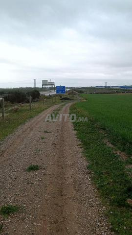 أرض فلاحية 8 هكتار تيتر فونصي طريق صفرو