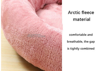 cousin chat et chiens 