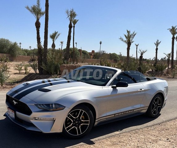 Ford Mustang occasion Essence Modèle 2019