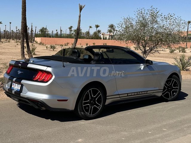 Ford Mustang occasion Essence Modèle 2019