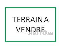 Terrain 167 m² à vendre à Bourgogne bd My Youssef 