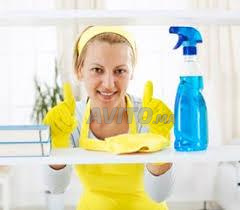 Agence de femmes ménages POLYVALENTE