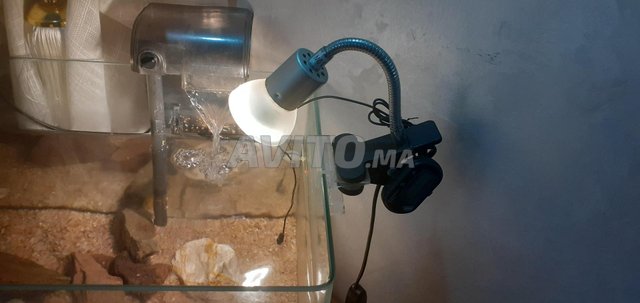 Aquarium eddge