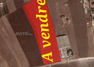 Terrain à vendre