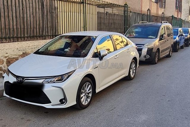 Hybride en très bon état 