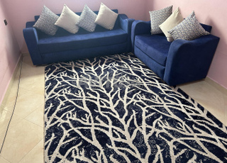 صالون رومي و زربية 