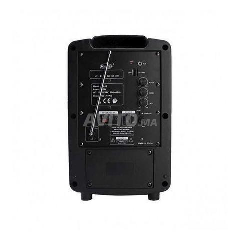Master A8-16 Enceinte ampli avec micro sans fil - 2