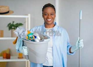 مساعدة منزلية أفريقية وإيفوارية متعددة المهام