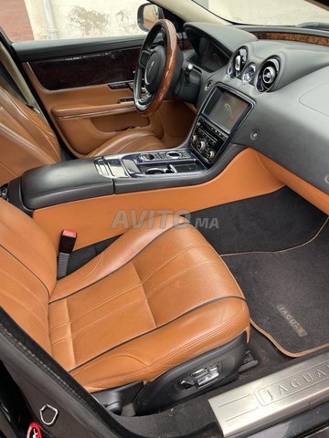 Jaguar XJ Portfolio Automatique toutes options